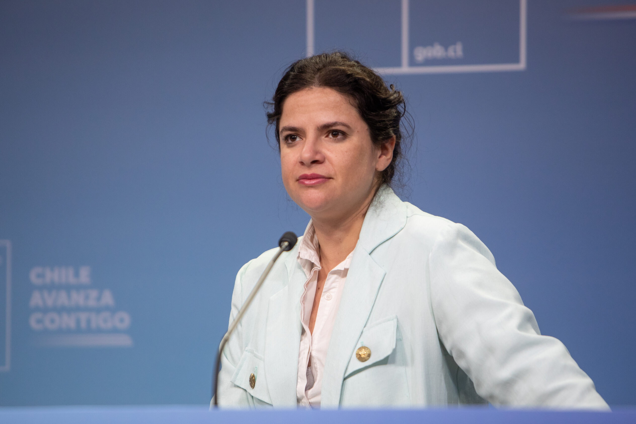 Ministra Antonia Orellana en el panel de Gobierno Informa