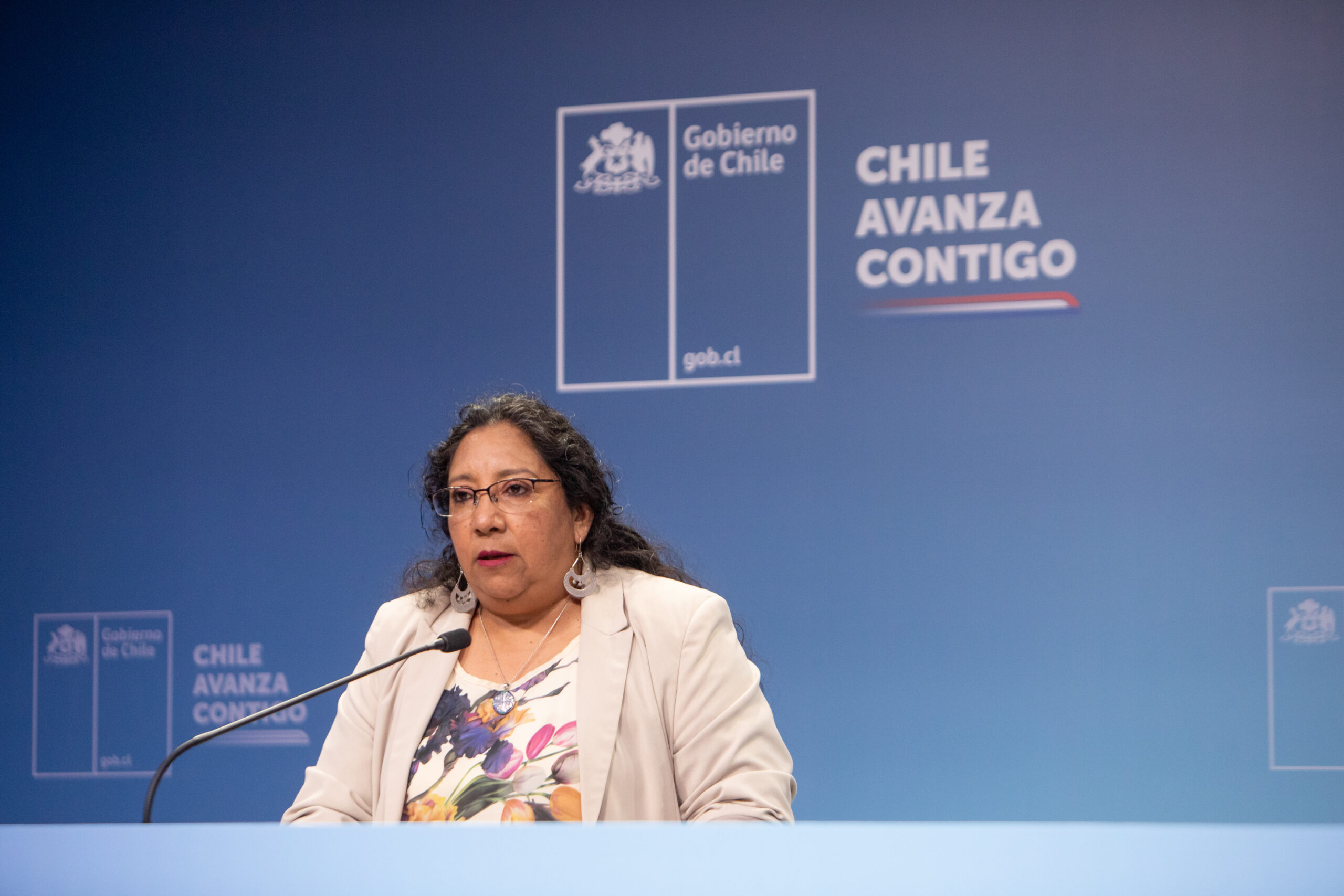 Subsecretaria de la Mujer y Equidad de Género, Luz Vidal, en el panel de Gobierno Informa